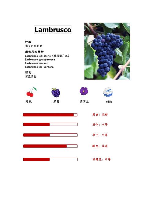 lamborghini怎么读 lambrusco怎么读