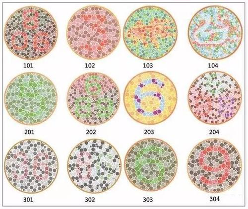 色弱怎么过体检 色弱怎么过体检换驾照可以找驾校吗