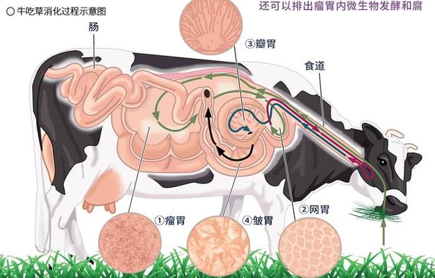 探寻无锡数控培训学校的秘密