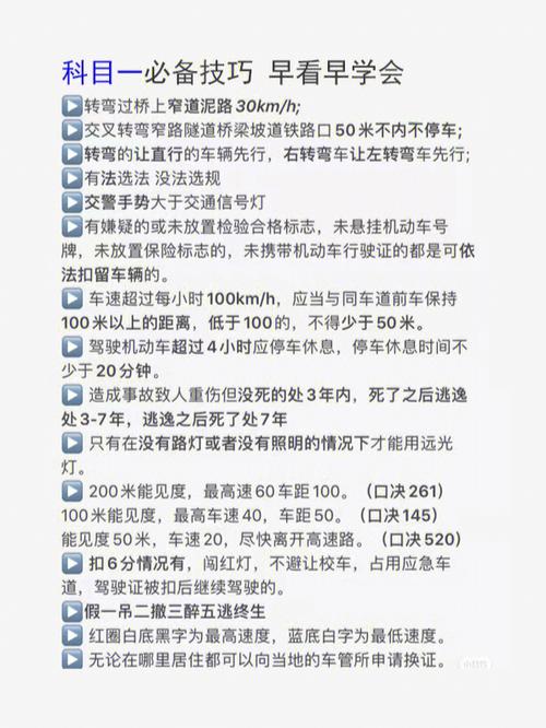 如何顺利考取行车证？掌握这些技巧，轻松通过考试！