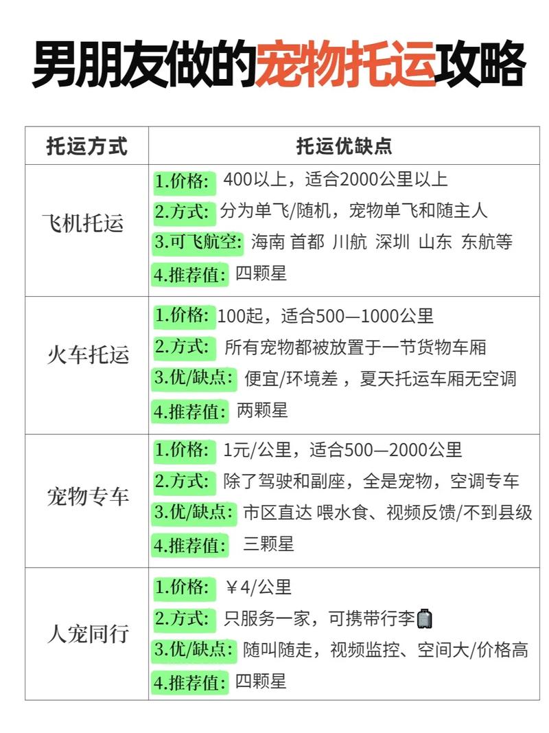 轻松搞定！车辆托运攻略，让你的出行更从容