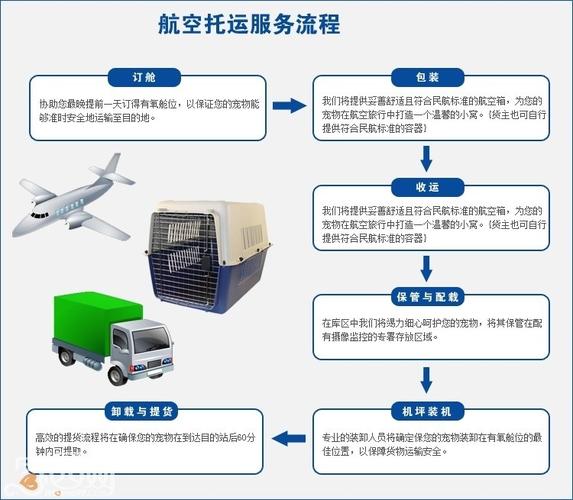 畅游无忧，轻松搬迁——汽车托运流程详解