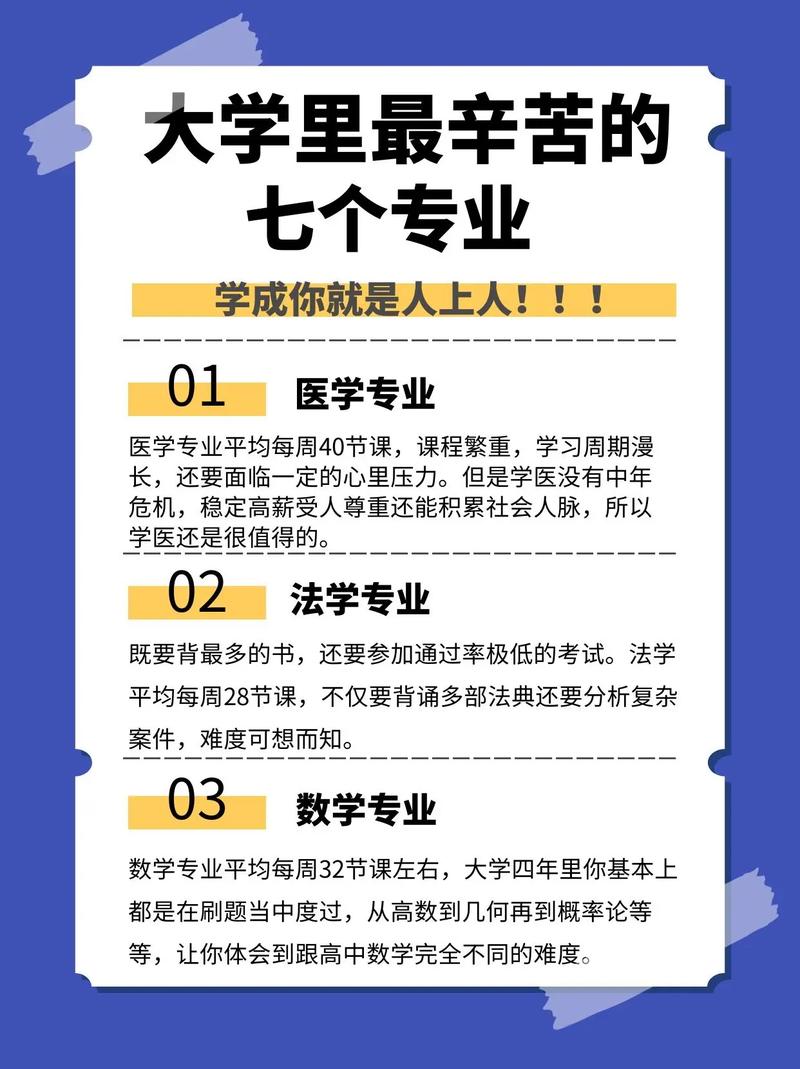 探索大专教育：哪些专业被认为是最无用的？